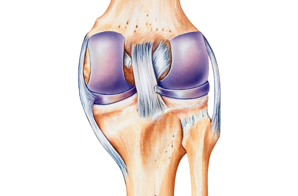 Knee Ligament Injury Specialist in Aundh