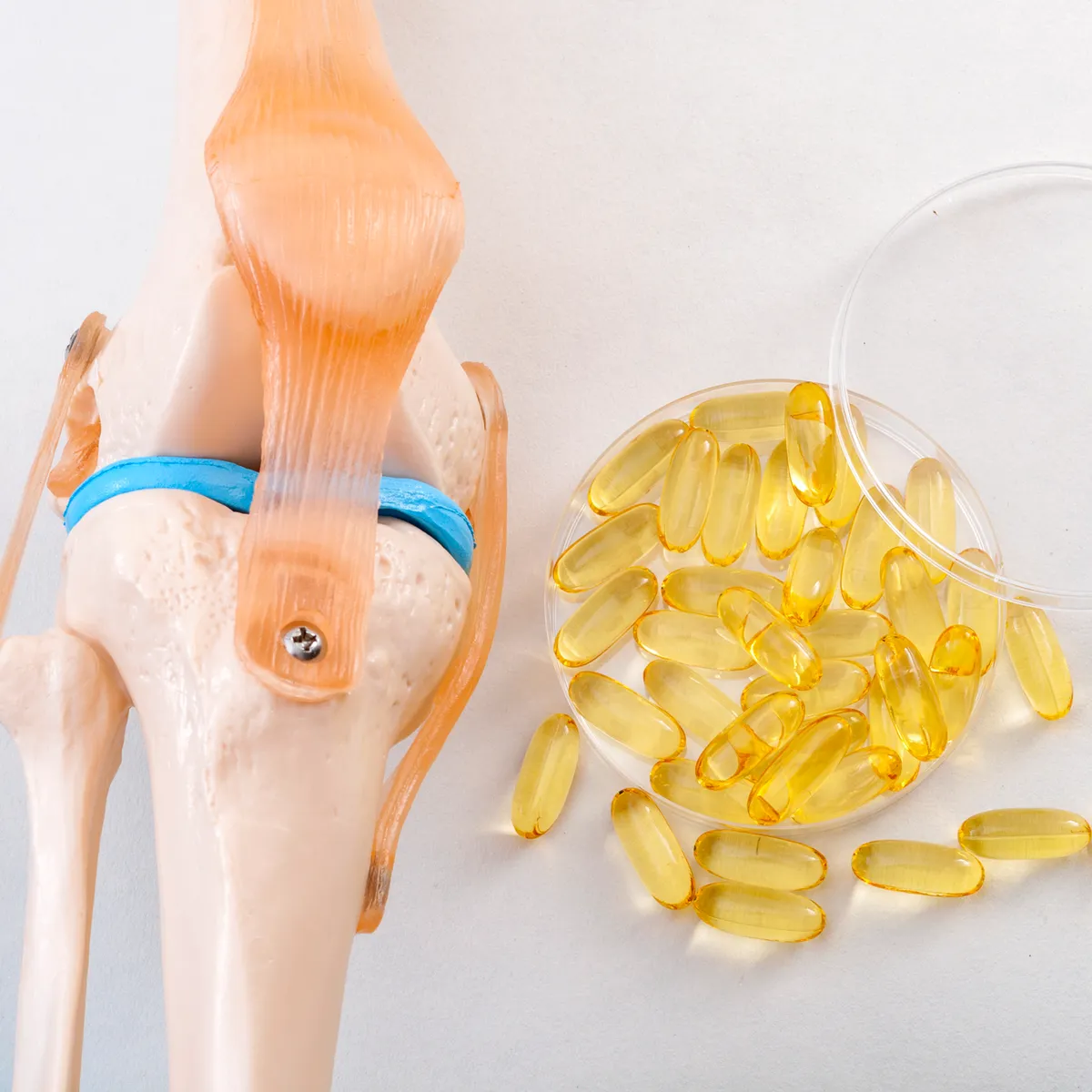 Supplements for Joint Health